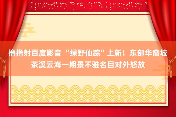 撸撸射百度影音 “绿野仙踪”上新!东部华裔城茶溪云海一期景不雅名目对外怒放