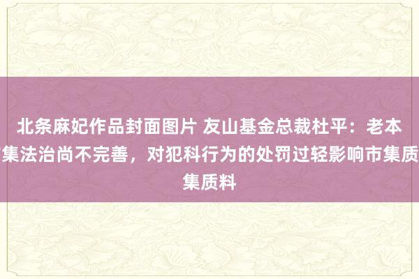 北条麻妃作品封面图片 友山基金总裁杜平:老本市集法治尚不完善,对犯科行为的处罚过轻影响市集质料