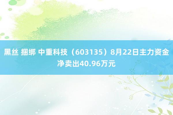 黑丝 捆绑 中重科技(603135)8月22日主力资金净卖出40.96万元