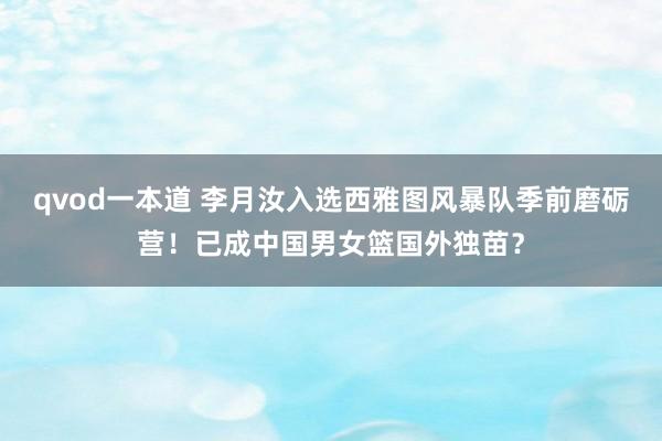 qvod一本道 李月汝入选西雅图风暴队季前磨砺营！已成中国男女篮国外独苗？