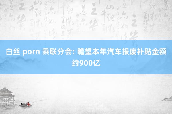 白丝 porn 乘联分会: 瞻望本年汽车报废补贴金额约900亿