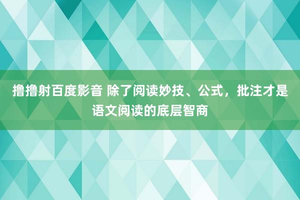 撸撸射百度影音 除了阅读妙技、公式,批注才是语文阅读的底层智商