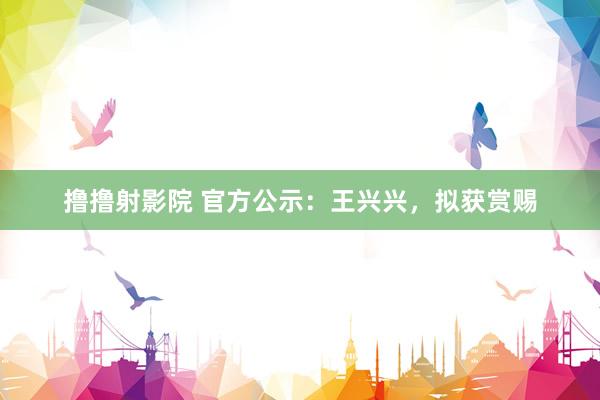 撸撸射影院 官方公示:王兴兴,拟获赏赐